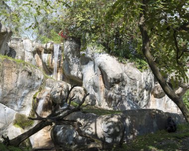 Şelale manzarası doğa ananın güzelliği ve huzur dolu mavi gökyüzü, su düşüşü, kırmızı çiçekler, ağaçlar, yosunlar. Meditasyon büyücüsü. Şelale fotoğrafları. Görüntü. Peyzaj.