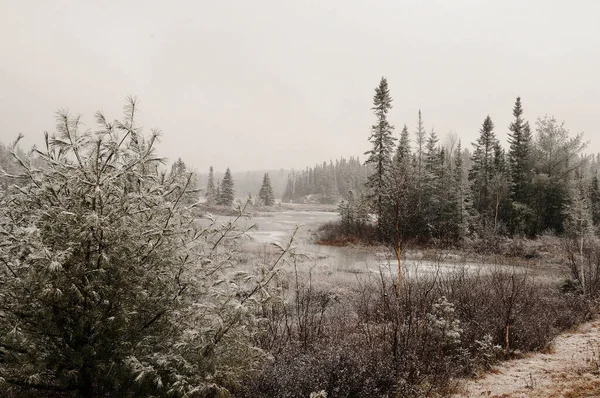 Зимние Пейзажи Лесу Морозными Деревьями Замерзшей Рекой Серым Небом Снегом — стоковое фото