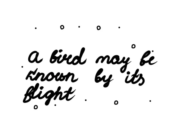 Fågel Kan Vara Känd Genom Sin Flygfras Handskriven Modern Kalligrafi — Stock vektor