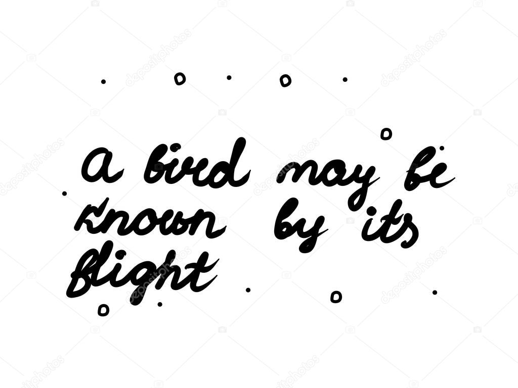 A bird may be known by its flight phrase handwritten. Modern calligraphy text. Isolated word black