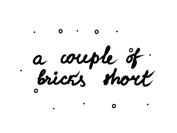Ein Paar Ziegel Kurze Phrase Handschriftlich Schriftzug Kalligrafie Text Isoliertes — Stockvektor