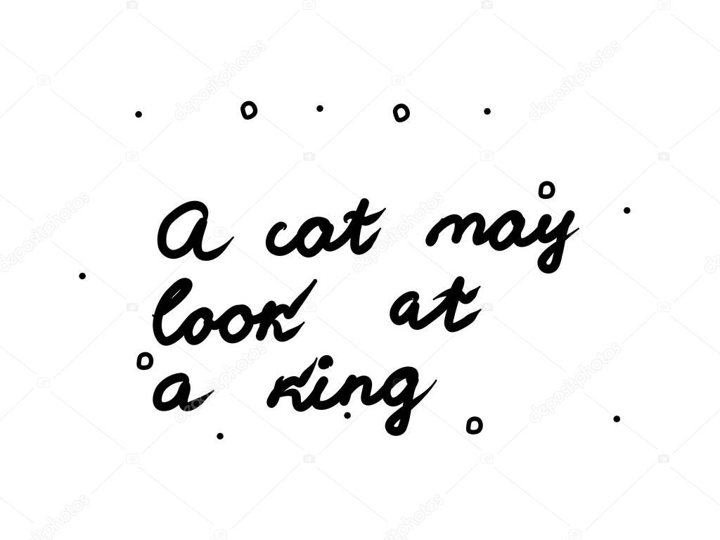 A cat may look at a king phrase handwritten. Lettering calligraphy text. Isolated word black 