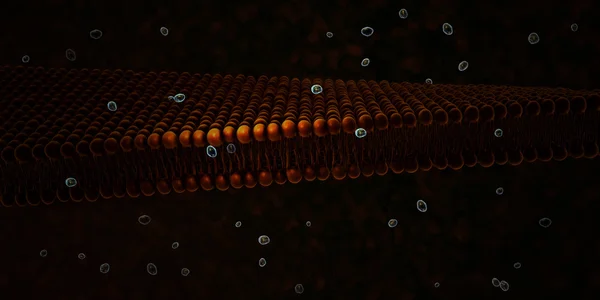 Membrana plasmatica di una cellula — Foto Stock