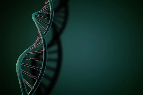 Ciąg DNA — Zdjęcie stockowe