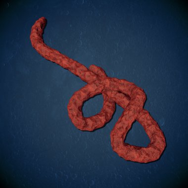 Ebola virüsü mikroskobik görünümü