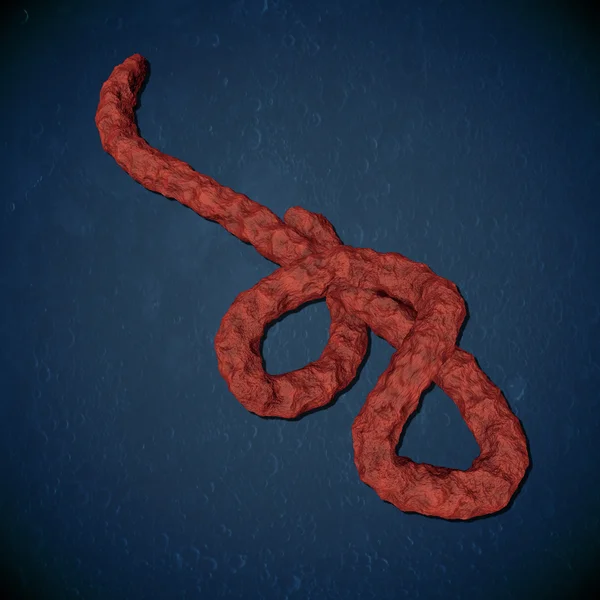 Vista microscopica del virus ebola — Foto Stock