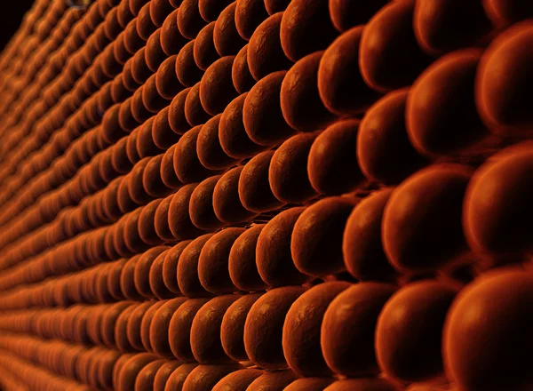 Plazma zarı hücrenin