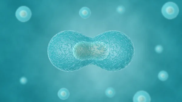 Cell division — Stock Photo, Image