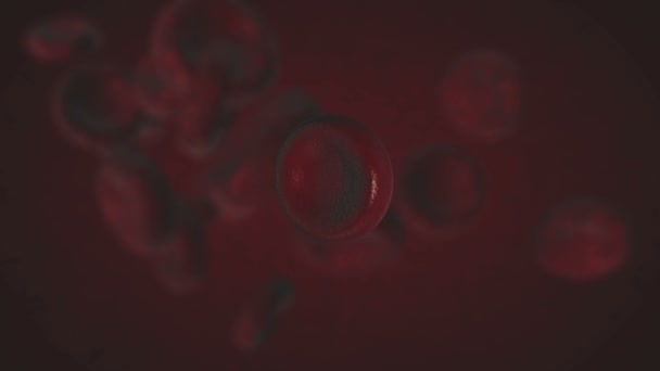 Streaming des cellules sanguines 