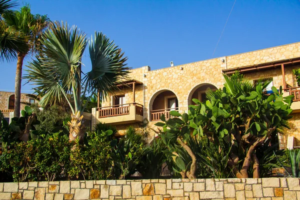 Vilă Palmieri Frumoși Grecia Insula Creta — Fotografie, imagine de stoc