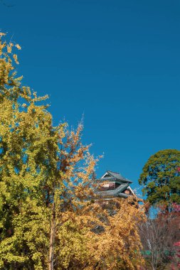 Japon Tarihi Kumamoto Şatosu Parlak Mavi Gökyüzüne ve Canlı Düşen Renklere Karşı