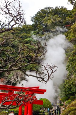 Çam ormanı ve mavi gökyüzü ile çevrili huzurlu dağ gölü