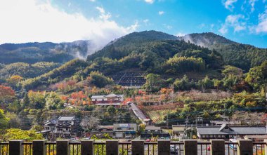 Kırsal Japonya Manzarası Sonbahar Vadisi Peyzajı