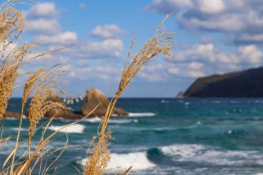 Deniz Burnu Ayrıntıları: Çalkantılı Okyanus ve Burun Çerçeveleme Solmuş Sazlar.
