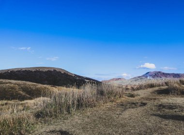 Japonya 'nın Aso Dağı yakınlarındaki engebeli araziye bakan Toprak Yoldaki Yürüyüşçüler