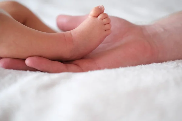 Apa egy újszülött lábát tartja a karjaiban. Kezek és lábak fehér háttéren közelkép. — Stock Fotó