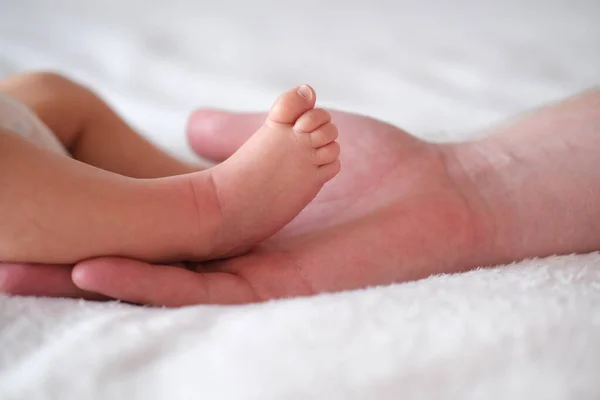 Der Vater hält die Füße eines Neugeborenen in seinen Armen. Hände und Füße auf weißem Hintergrund in Nahaufnahme. — Stockfoto