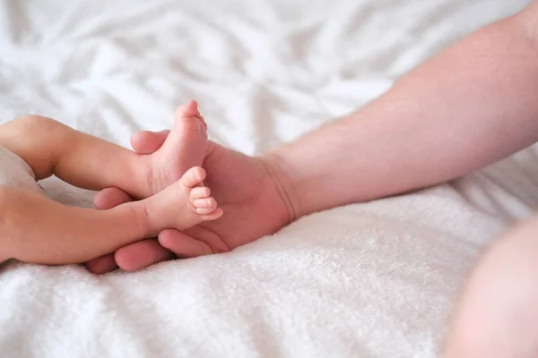 Pai segura os pés de um bebê recém-nascido em seus braços. Mãos e pés sobre um fundo branco close-up. — Fotografia de Stock