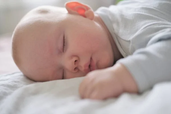 Portrait of a newborn baby sleeping on a white blanket. — Stock Photo, Image