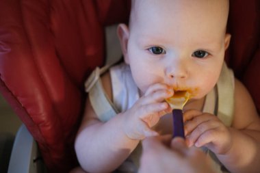Çocuk sebze ve meyve püresi yiyor. Elma, brokoli, havuç, balkabağı. Bebek maması konsepti.
