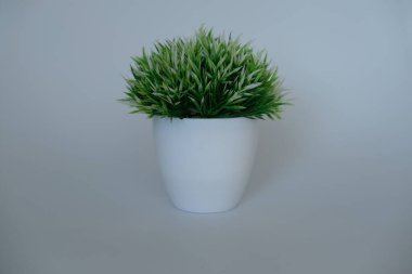 Yapay çiçekler, çimenler ve kaktüsler beyaz arka planda bir tencerede