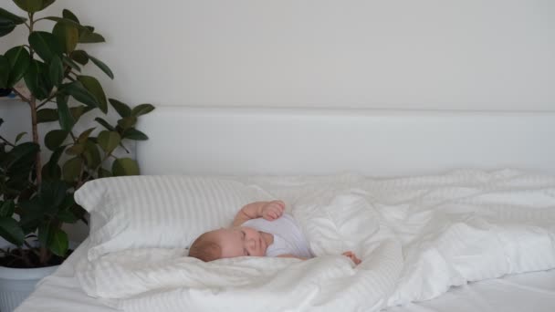 Small Child Sleeps Bed White Bedding Portrait Sleeping Little Boy — Stock Video