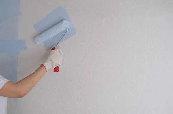 Young Woman Makes Repairs Apartment Paints Walls Blue — Stock Photo, Image