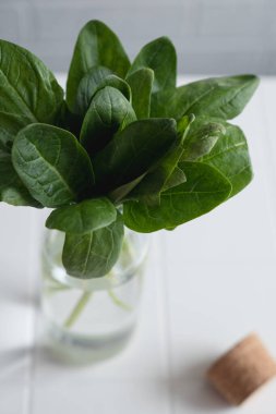 Bir avuç yeşil ıspanak cam şişede