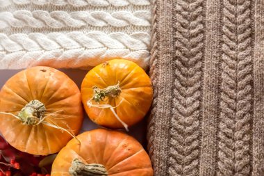 Birkaç balkabağı sonbahar yaprakları ve sıcak örülmüş kazakların arasında masanın üzerinde yatıyor. Sonbahar hala hayattır. Karanlık arka plan. Mesaj için yer var. Yukarıdan görünüşü.