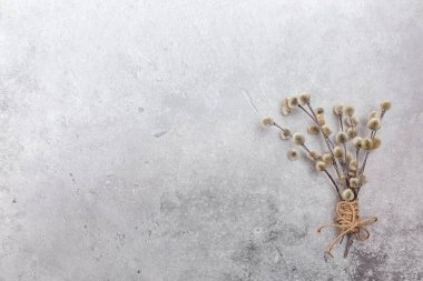 Gri arka planda bir buket söğüt ağacı. Paskalya minimalist tebrik kartı. Paskalya tatili kavramı. Boşluğu kopyala