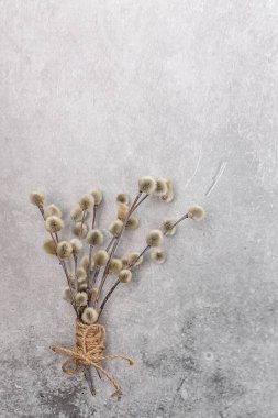 Gri arka planda bir buket söğüt ağacı. Paskalya minimalist tebrik kartı. Paskalya tatili kavramı. Boşluğu kopyala