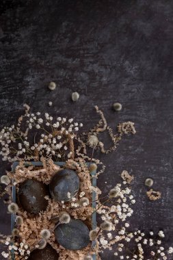 Ahşap bir kutuda koyu renkli yumurtalarla Paskalya kompozisyonu. Söğüt dalı. Paskalya 'nın asgari konsepti. Yazı için yeri olan bir Paskalya kartı..