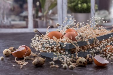 Ahşap bir kutuda koyu renkli yumurtalarla Paskalya kompozisyonu. Söğüt dalı. Paskalya 'nın asgari konsepti. Yazı için yeri olan bir Paskalya kartı..