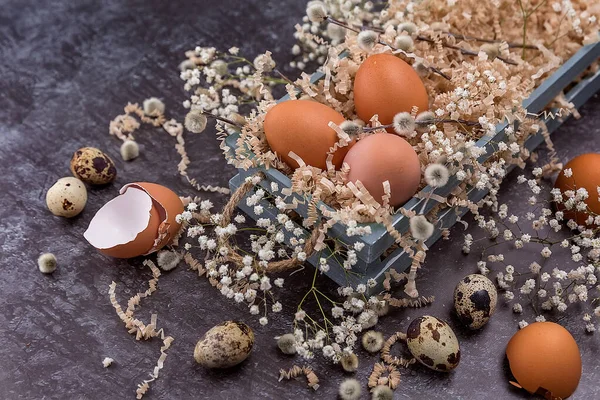 Kompozycja Wielkanocna Ciemnokolorowymi Jajkami Drewnianym Pudełku Gałąź Wierzby Minimalna Koncepcja — Zdjęcie stockowe