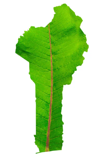 Map Benin Green Leaf Texture White Isolated Background Ecology Climate — Stock Photo, Image