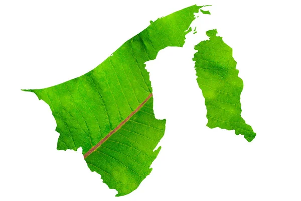 Karte Von Brunei Grüner Blattstruktur Auf Weißem Isoliertem Hintergrund Ökologie — Stockfoto