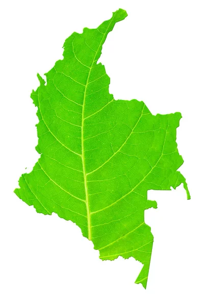 Kaart Van Colombia Groene Bladtextuur Een Witte Geïsoleerde Achtergrond Ecologie — Stockfoto