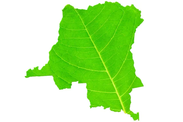 Landkarte Der Kongo Grüner Blattstruktur Auf Weißem Isoliertem Hintergrund Ökologie — Stockfoto