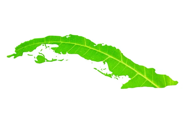 Landkarte Von Kuba Grüner Blattstruktur Auf Weißem Isoliertem Hintergrund Ökologie — Stockfoto