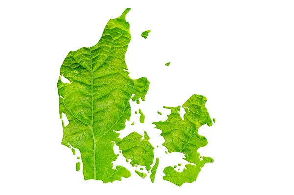 Landkarte Von Dänemark Grüner Blattstruktur Auf Weißem Isoliertem Hintergrund Ökologie — Stockfoto