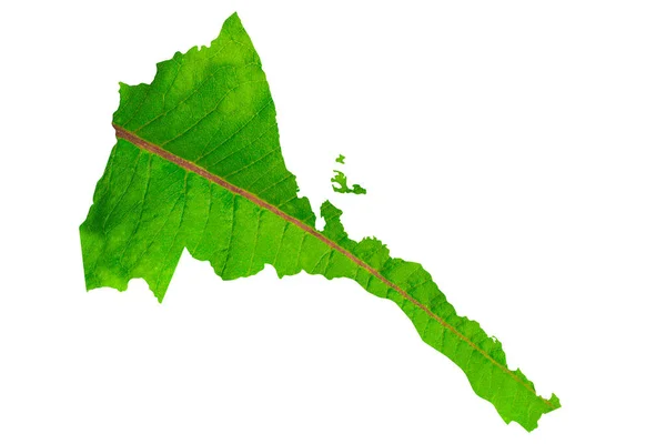 Karte Von Eritrea Grüner Blattstruktur Auf Weißem Isoliertem Hintergrund Ökologie — Stockfoto