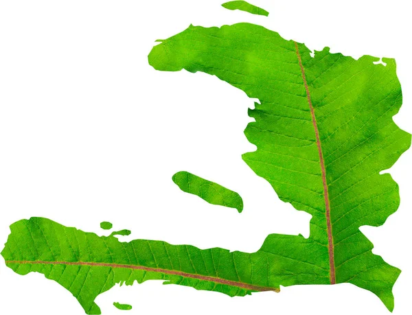 Beyaz Yalıtılmış Arka Planda Yeşil Yaprak Desenli Haiti Haritası Ekoloji — Stok fotoğraf