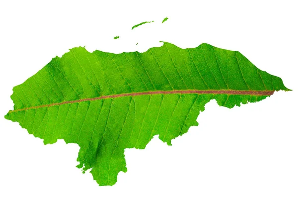 Landkarte Von Honduras Grüner Blattstruktur Auf Weißem Isoliertem Hintergrund Ökologie — Stockfoto