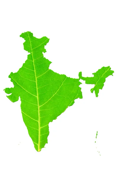 Map India Green Leaf Texture White Isolated Background Ecology Climate — Stock Photo, Image