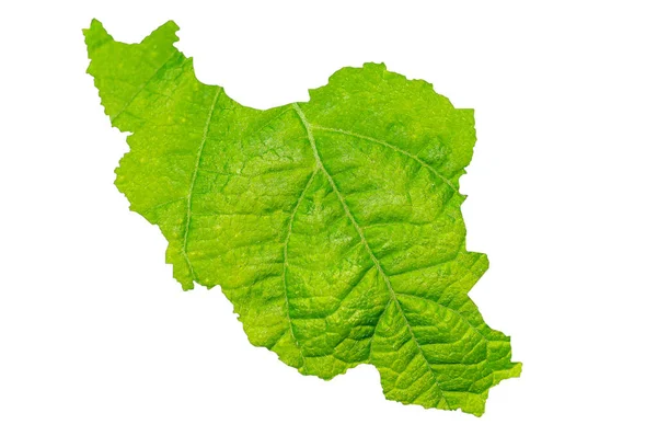 Landkarte Des Iran Grüner Blattstruktur Auf Weißem Isoliertem Hintergrund Ökologie — Stockfoto