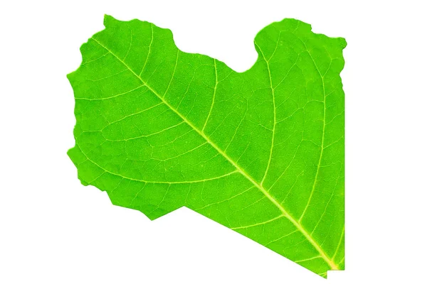 Карта Лівії Текстурі Зеленого Листя Білому Ізольованому Тлі Екологія Концепція — стокове фото