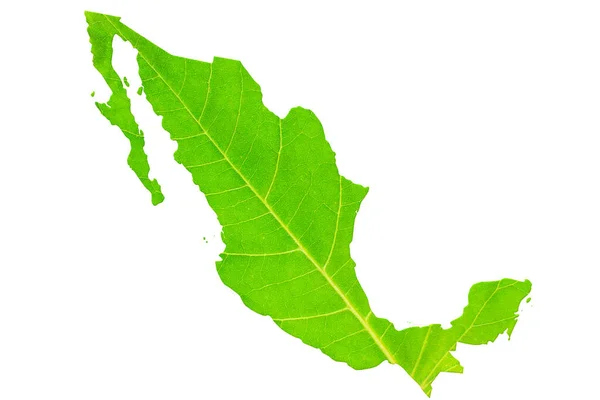 Landkarte Von Mexiko Grüner Blattstruktur Auf Weißem Isoliertem Hintergrund Ökologie — Stockfoto