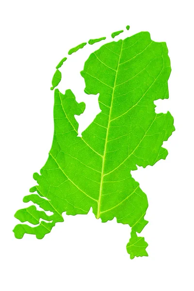 Kaart Van Nederland Groene Bladtextuur Een Witte Geïsoleerde Achtergrond Ecologie — Stockfoto