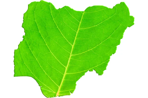 Карта Нігерії Текстурі Зеленого Листя Білому Ізольованому Тлі Екологія Концепція — стокове фото