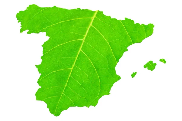 Kaart Van Spanje Groene Bladtextuur Een Witte Geïsoleerde Achtergrond Ecologie — Stockfoto